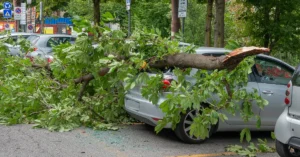 Read more about the article The Ultimate Guide to Preventing Auto Glass Damage in Georgia