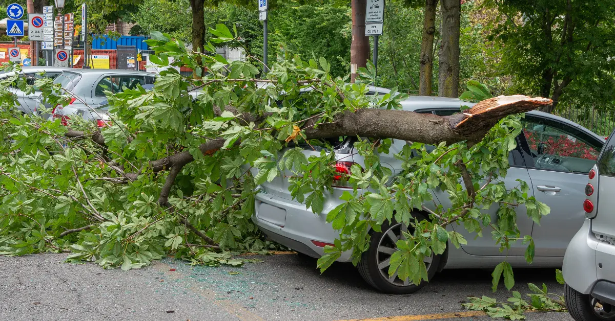 Read more about the article The Ultimate Guide to Preventing Auto Glass Damage in Georgia